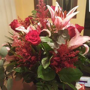 Meet your Posher, Tameka